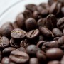 世界に流通するコーヒー豆の種類・品種